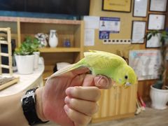 -乐山上善居·养心禅景酒店(世豪广场高铁站店)