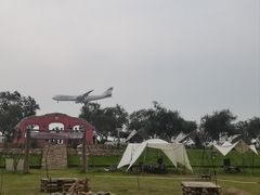 -空港花田景区