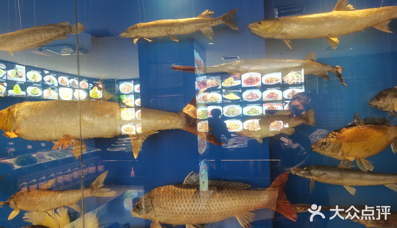 炖出满满的家的味道