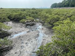 -北海金海湾红树林生态旅游区