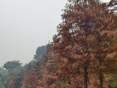 -重庆彩云湖湿地公园