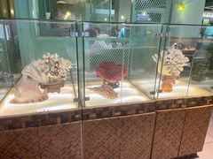 -春润大地海南椰子鸡(沙井京基百纳广场店)