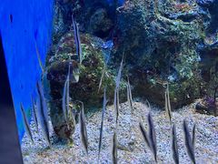 -大连老虎滩海洋公园