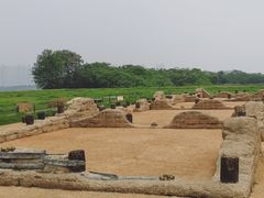 -盘龙城国家考古遗址公园