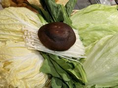 -友乐居羊蝎子(西直门店)