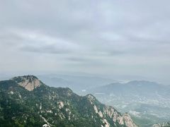 -万达广场(泰安泰山店)