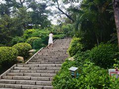 -炮台山公园