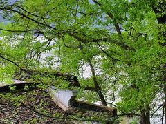 -严子陵钓台(富春江小三峡)