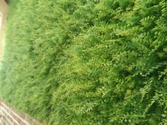 -焙丽拾光(麦凯乐直营店)