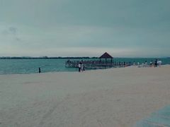 -瑶湖郊野森林公园