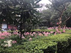 -峨眉山报国寺