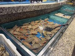 -初色海鲜自助(万丰路店)