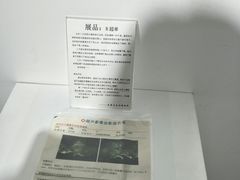 -成都失恋馆