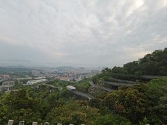 -福道