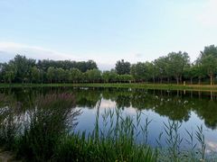 -东郊湿地公园
