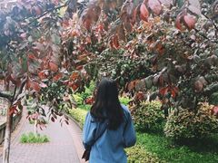 -西南政法大学(沙坪坝校区)
