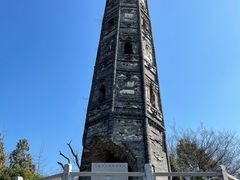 -上海佘山国家森林公园天马山园