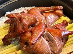 -广州白天鹅宾馆