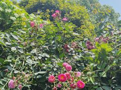 -湖南烈士公园(芙蓉区)