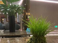 -桃花源中餐厅(金茂豪华精选酒店)