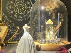 -雪灵魔法世界SHELLY’S TAROT(大良桂畔里店)