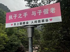 -黄山翡翠谷景区