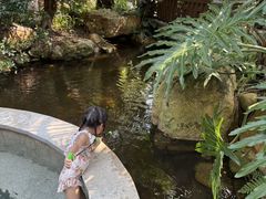 -清远熹乐谷温泉度假酒店