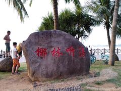 -万绿园