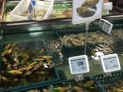 -盒马渔市餐厅