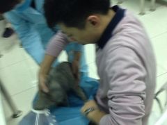 iphone_upload_pic-纳吉亚猫专科动物诊疗中心(蒋宅口分院)