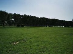 -天津武清北运河郊野公园房车露营地