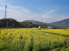 -塔川景区