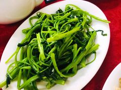 通菜-蛇口康乐快餐鱼仔档(翠苑小区店)