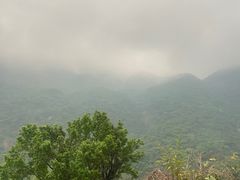 -梧桐山风景名胜区