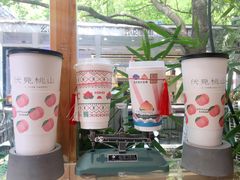 -伏小桃(明瓦廊店)