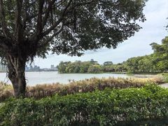 -顺峰山公园