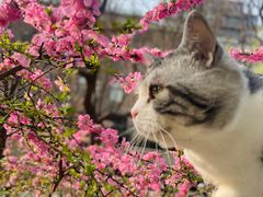 -炼呗运动康复·健身工作室(紫竹桥店)