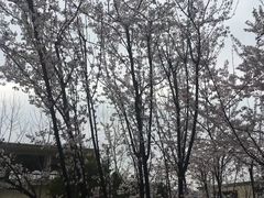 -南山植物园