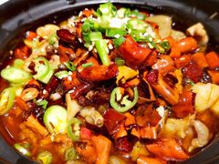 跳跳蛙-付小姐在成都(五道口店)
