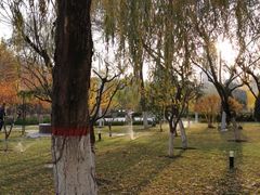 -雁滩公园