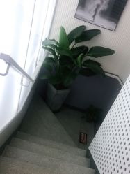 -PE SALON