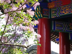 -西安市广仁寺