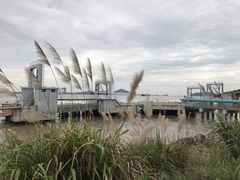 -北岐滩涂
