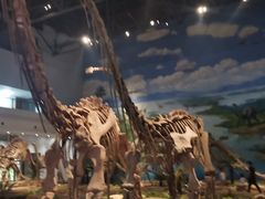 -自贡恐龙博物馆
