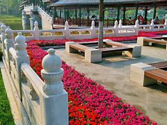 -西海子公园