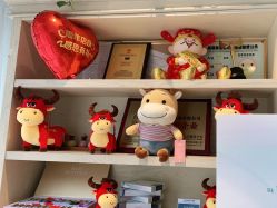 -海茱雅科技健康美容