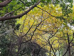 -洛阳市隋唐城遗址植物园