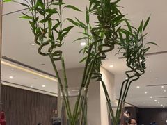 -红棉中餐厅·广州海航威斯汀酒店