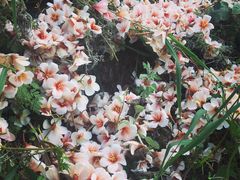 -金堂县云顶石城风景区