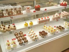 -好利来(回龙观西大街店)